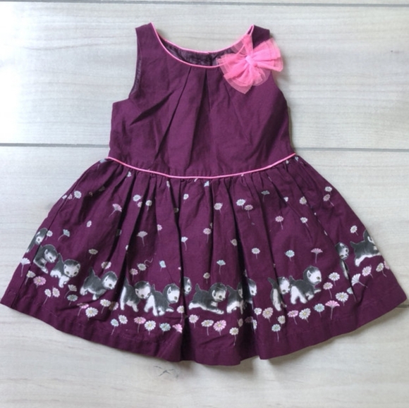 Little Golden Books Moment The Shy Little Kitten Toddler Girl Size 3T  Dress